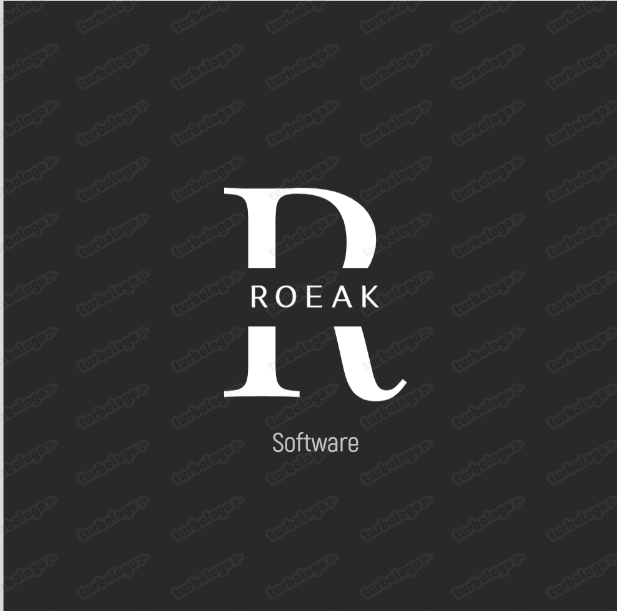 roeaksoftware.45-90-98-230.plesk.page